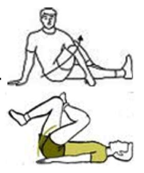 Stretches For Rowers Renwick Sports Physiotherapy Orthopaedic Centre