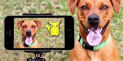 6 Pokemon Secrets No One Is Telling You About!