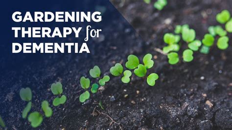 Gardening therapy for dementia | Alzheimer Society Blog