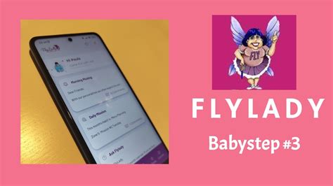 Dia M Todo Flylady Para Organizar E Limpar A Casa Youtube