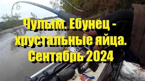 Чулым. Ебунец - Хрустальные яйца. Сентябрь 2024 - YouTube