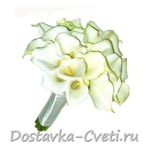 Dostavka-cveti.ru — доставка цветов по Москве | букеты из калл ...