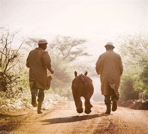 Best Kenyans Images On Pholder Interestingasfuck Nature Is Fucking Lit And City Porn