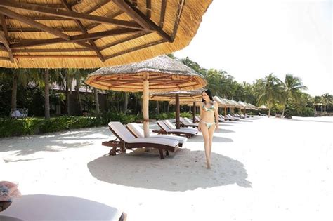 Hoa H U Gi Ng My Di N Bikini Tu I Khoe Body Nu T N Ch Ng K M C Nh B T C M Nh N Vbiz N O