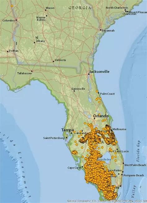 Where to buy authentic florida panther tickets without the high fees 8