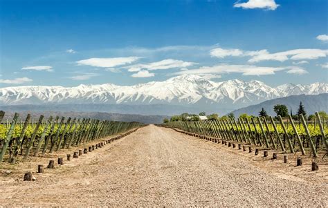 ¿Qué hacer en Mendoza? Conociendo el corazón de la zona vitivinícola ...