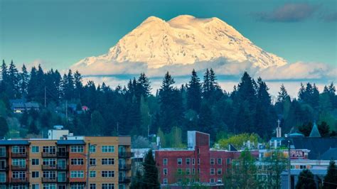 Olympias Bikini Kill A Look At The Band That Shaped The Punk Scene Olympia WA Today