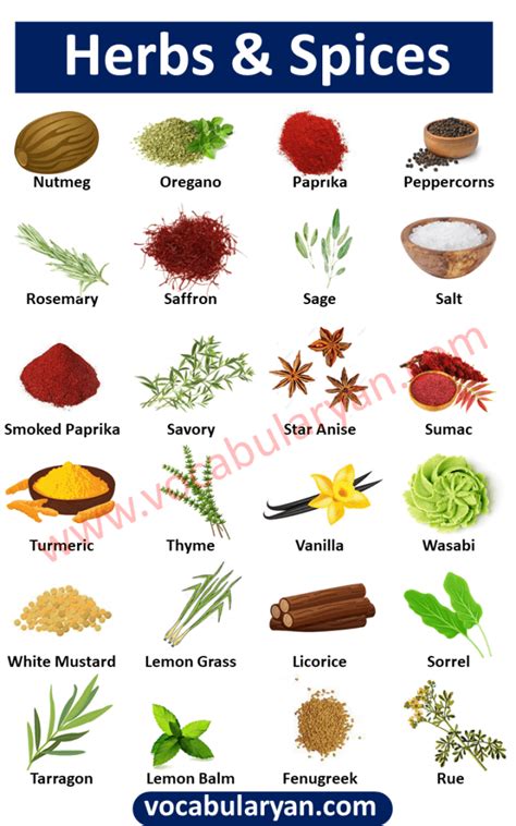 List Of Herbs And Spices Vocabulary Vocabularyan