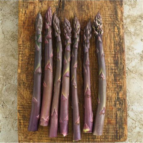 Purple Passion Asparagus Crowns Crowns Keene Garlic