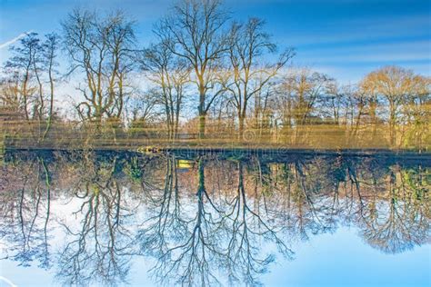 An Upside Down Perspective On A Reflected Winter Pond Stock Image