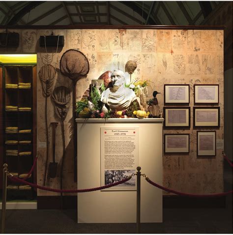 The History and Biography of Mobster Dion Dean O'Banion 1