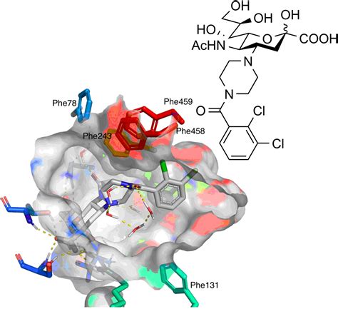 Sialic Acid 4NPiperazine And Piperidine Derivatives Bind With High