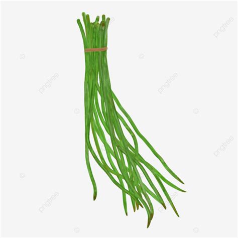 Kacang Panjang Long Beans Health Vegetables Kacang Panjang Long Beans