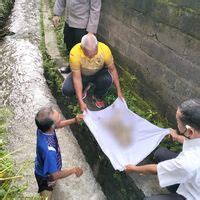 Mayat Bayi Membusuk Di Saluran Irigasi Subak Denpasar