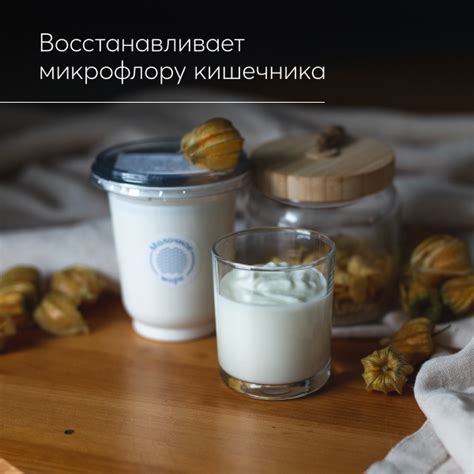 "Бифилайф" 3,2%, 350 г. купить от производителя в Москве