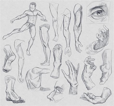 Anatomy Sketches #6 by Rappenem on DeviantArt