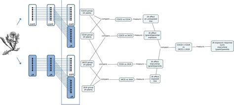 Design Transgenerational Transcriptomics data Analysis - How is the ...