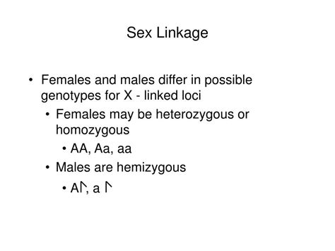 Ppt Autosomes Versus Sex Chromosomes Powerpoint Presentation Free Download Id351784