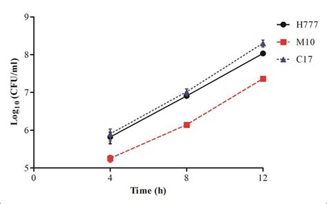 Intracellular Survival And Multiplication Of B Pseudomallei H777 M10 Download Scientific