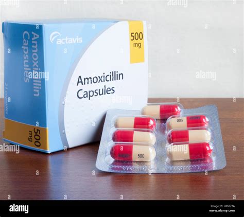Box of Amoxicillin (penicillin antibiotic) capsules produced by Stock ...