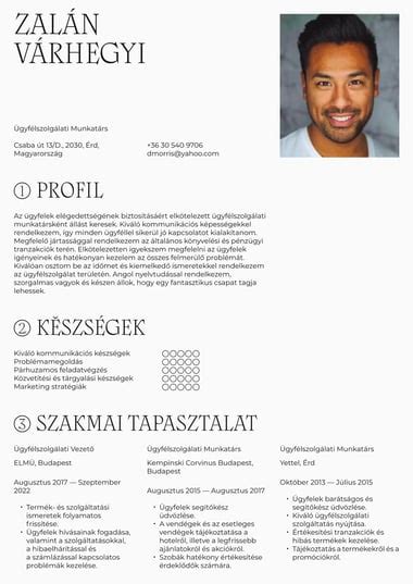 Alap Vagy Egyszerű önéletrajz Sablonok Word And Pdf Ingyenes Letöltés