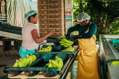 Agricultura Familiar la importancia para el desarrollo de América Latina y el Caribe Noticias