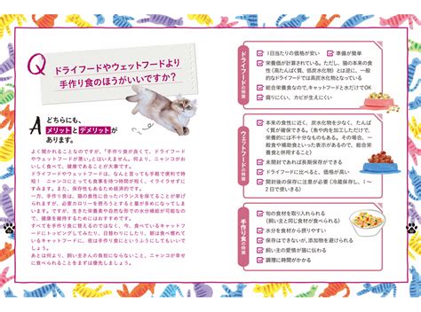 書籍「獣医師が考案した長生き猫ごはん」、世界文化社より刊行 2枚目の写真・画像 動物のリアルを伝えるwebメディア「reanimal」