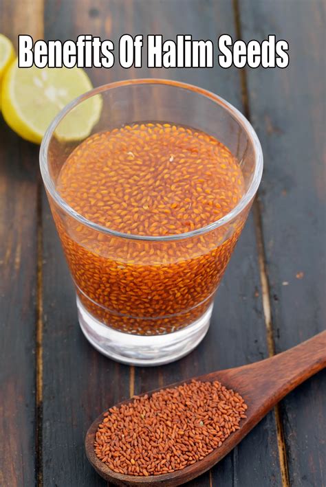 benefits  halim seeds garden cress seeds haleem