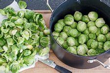 Rosenkohl Gratin Gesund Und Lecker Emmikochteinfach