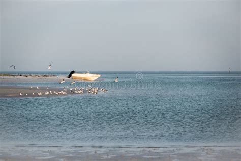 Boat Stranded In Sand Stock Photo Image Of Fisherman 265286916