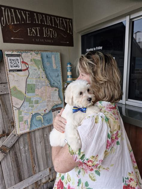 Joanne Terrace Apartments