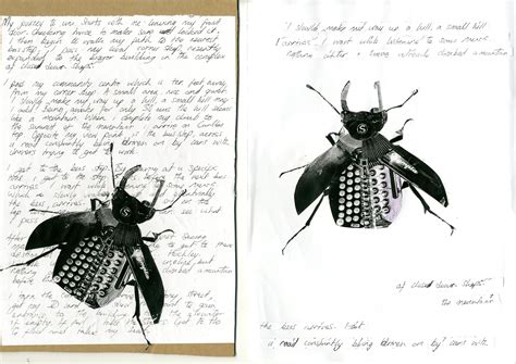 The Naked Lunch On Behance