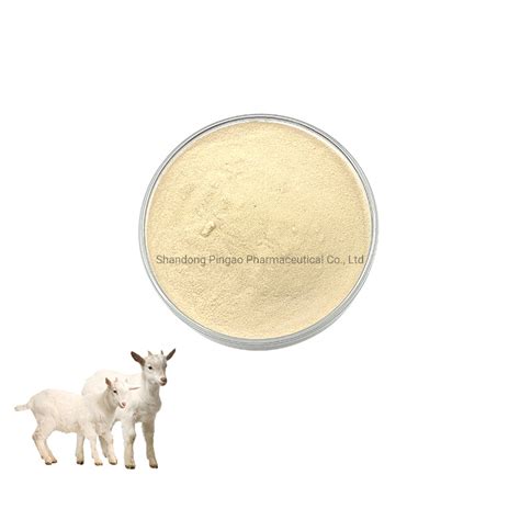 Wholesale Feed Grade Lactobacillus Acidophilus Powder China