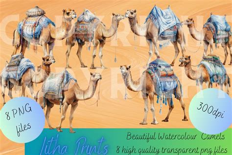 Watercolour Camels Graphic By Litha Prints · Creative Fabrica