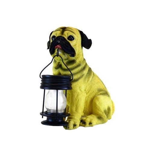 Pug Dog & Solar Lantern | Solar lanterns, Solar lantern lights, Solar ...