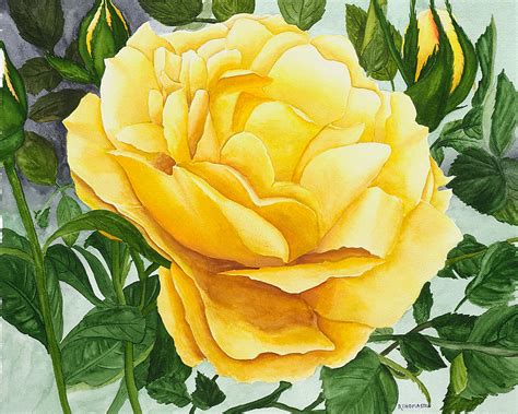 Yellow Rose Painting By Robert Thomaston Fine Art America