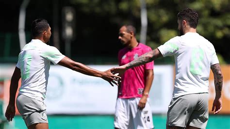 V Deo Palmeiras Vence S O Bernardo Em Jogo Treino Na Academia De Futebol