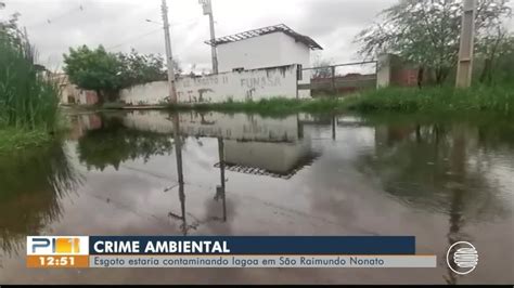 Moradores flagram jacaré sobre lixo após esgoto de rua alagada invadir