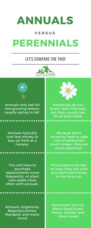 Annuals Vs Perennials Which To Pick Arborist Now Arborist Now