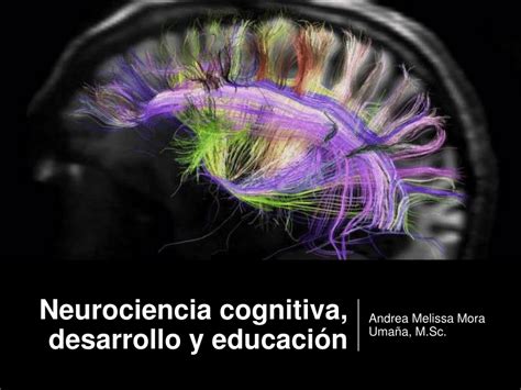 Pdf Neurociencia Cognitiva Desarrollo Y Educaci N