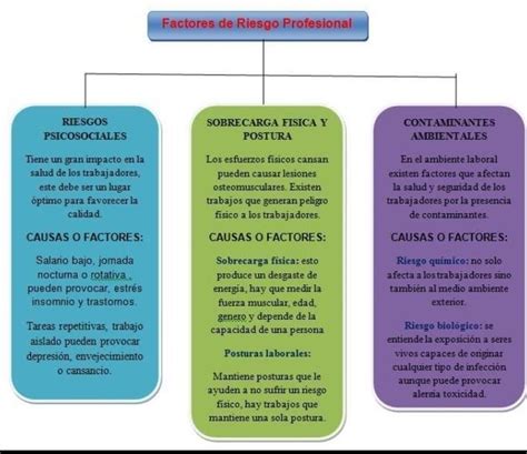 Elabora Un Organizador Gr Fico Sobre Los Factores De Riesgo F Sicos En