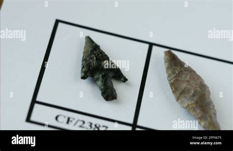 neolithic age artifacts stock  footage hd   video clips