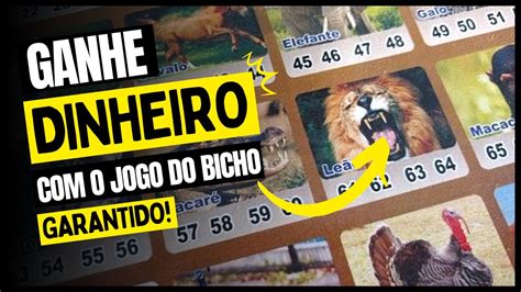 🤑 Como Ganhar No Jogo Do Bicho Essa Semana Use Esses Números Youtube