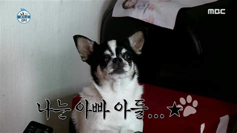 HOT Singing puppy 나 혼자 산다 20191011 YouTube