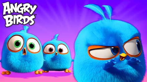 The Blues Angry Birds