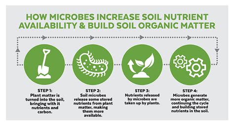 Using Soil Microbes to Build SOM & Increase Crop Yields