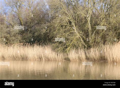 New Hythe , Kent Stock Photo - Alamy