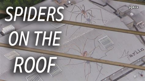 Spiders On The Roof From Space Needle Youtube