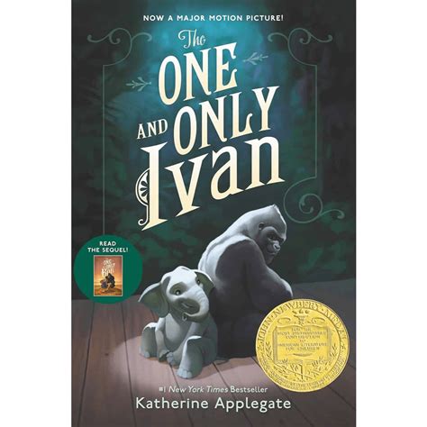 Top Chapter Books for 2nd Graders – Fun & Easy Reads