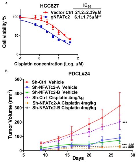 Figures and data in NFATc2 enhances tumor-initiating phenotypes through ... 
